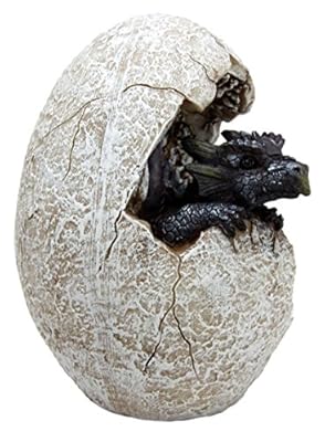 Ebros Gift Fossil Twilight Onyx Dragon Hatchling Breaking Out of Egg Shell Decorative Figurine Dungeons and Dragons Collectible Figurine Museum Like Eggs Decor Medieval Renaissance Theme