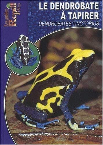 Le dendrobate à tapirer: Dendrobates tinctorius
