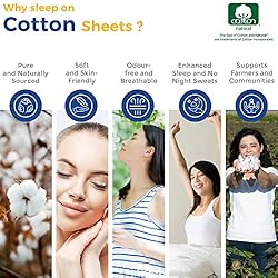 600-Thread-Count Egyptian Cotton Quality Sheet Set