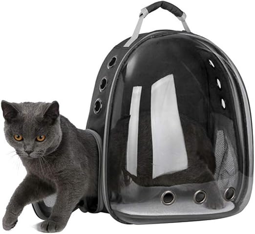 cat bubble backpack amazon