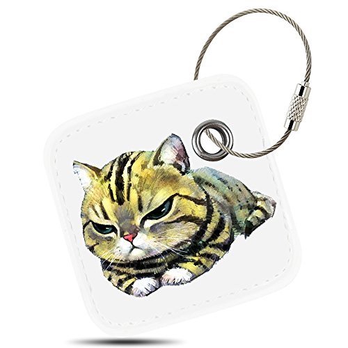 The 10 best tile tracker for cats