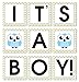 Baby Shower Banner - IT’S A BOY - Garland Baby Shower Decoration, Photo Booth Props - Owl - Stylish Contemporary Design from Bambini & Me