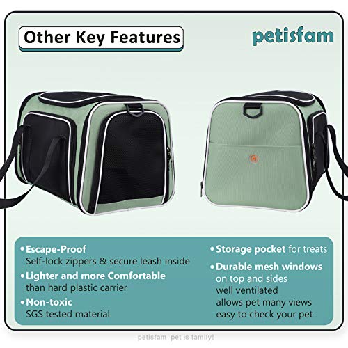 Soft Pet Carriers for Medium and Large Cats, 2 Kitties and Small Dogs w