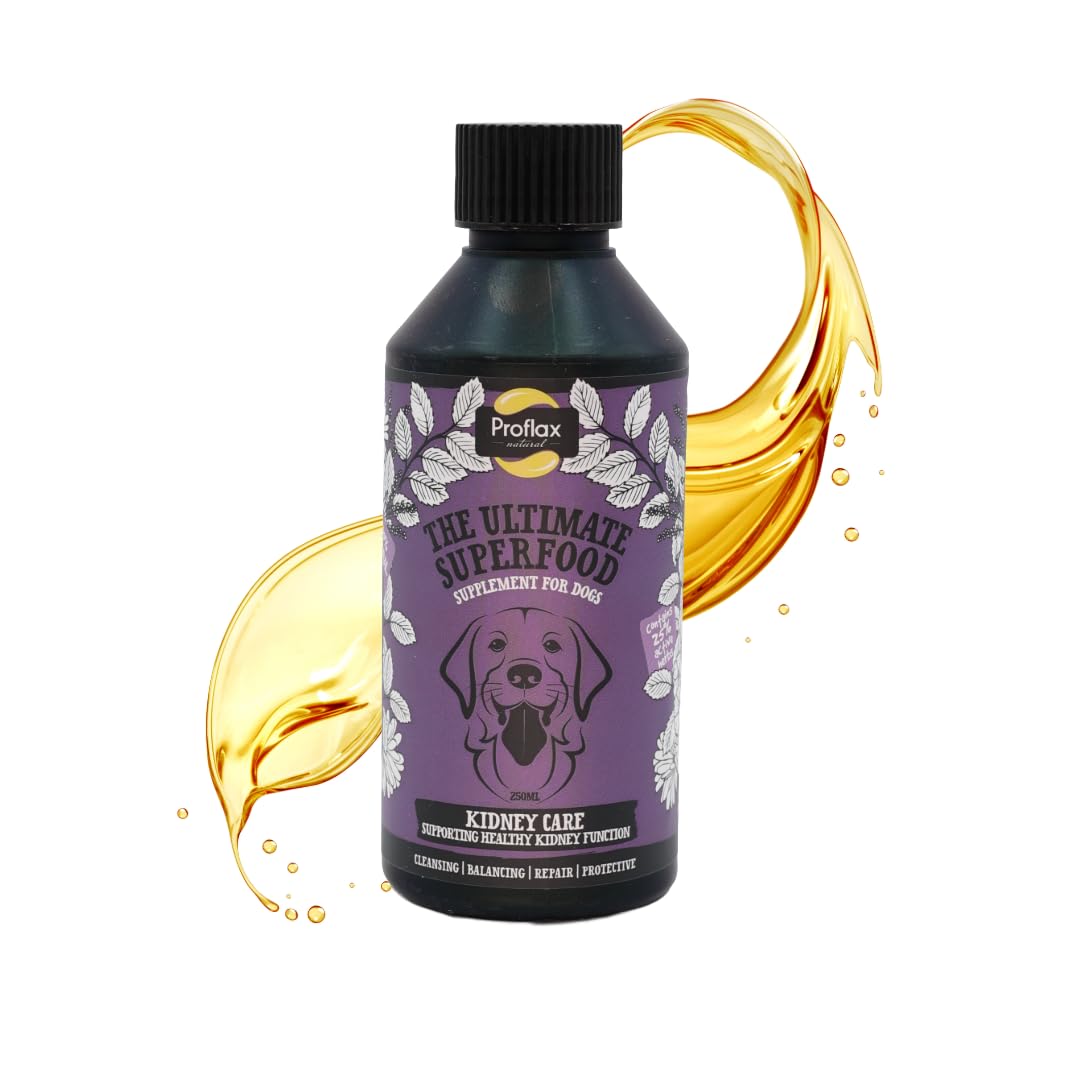 Proflax Kidney Care Renal & Urinary Support for Dogs – Hydration, Detox & Kidney Function - 250ml