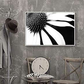 Framed Canvas Wall Art for Living Room, Bedroom Flower Closeup IV Canvas Prints for Home Decoration Ready to Hang - 16x24 inches