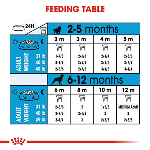 puppy eating chart