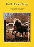 Draft Horses Today by 