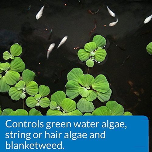 API POND ALGAEFIX Algae Control Solution 1-Gallon Bottle
