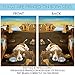 Toland Home Garden 102645 Salvador Doggy-Basset Hound Dog Flag 28x40 Inch Double Sided Dog Garden Flag for Outdoor House Basset Hound Flag Yard Decoration