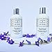 BlondeMoment Purple Shampoo for Blonde Hair High Lights Toning Toner Violet Blue Grey 8.5 Oz Alcohol Paraben Free Color Safe UV Protectant Winsome & Wisdom Cruelty Free Professional Hair Products