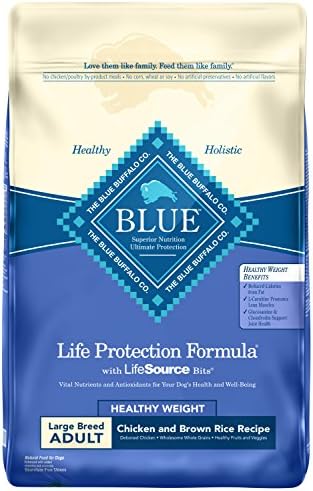 blue life protection formula large breed puppy