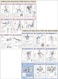 Strength Training Anatomy Poster Series by 