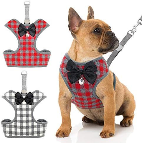 RYPET Small Dog Harness and Leash Set – No Pull Pet Harness with Soft Mesh Nylon Vest for Small Dogs and Cats