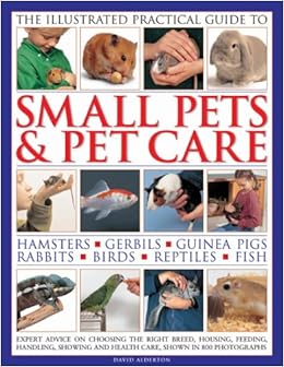 small pets