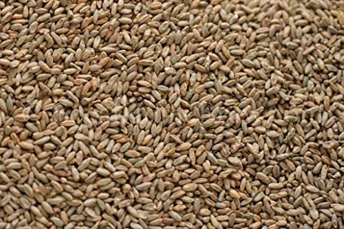 Rye Malt (5 lb), New Type
