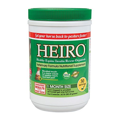 Top 10 Horse Supplements For Laminitis of 2019 No Place Called Home