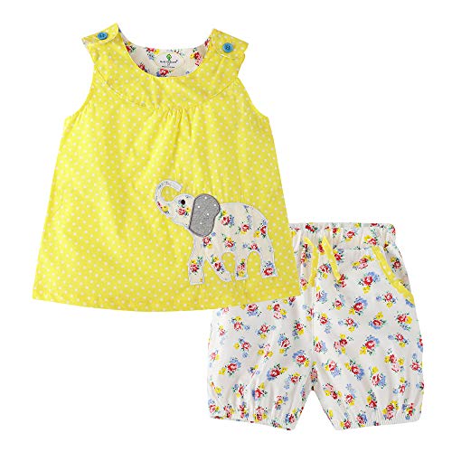 BIBNice Toddler Baby Girls Summer Clothes Sleeveless Tee Floral Short Sets Outfits Size 2