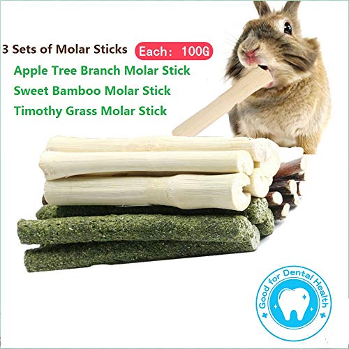 2 FLOURITHING+Combined+Timothy+Chinchilla+Squirrel
