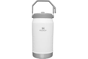 STANLEY IceFlow Stainless Steel Tumbler with Straw, Vacuum Insulated Water Bottle for Home, Office or Car, Reusable Cup with Straw Leak Resistant Flip