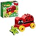 LEGO DUPLO My First Ladybug 10859 Building Blocks (6 Piece)