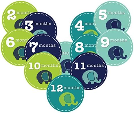 Monthly Shirts Baby Boy Elephant Picture Sticker Nursery 1-12 Milestone Sticker (12 pcs)