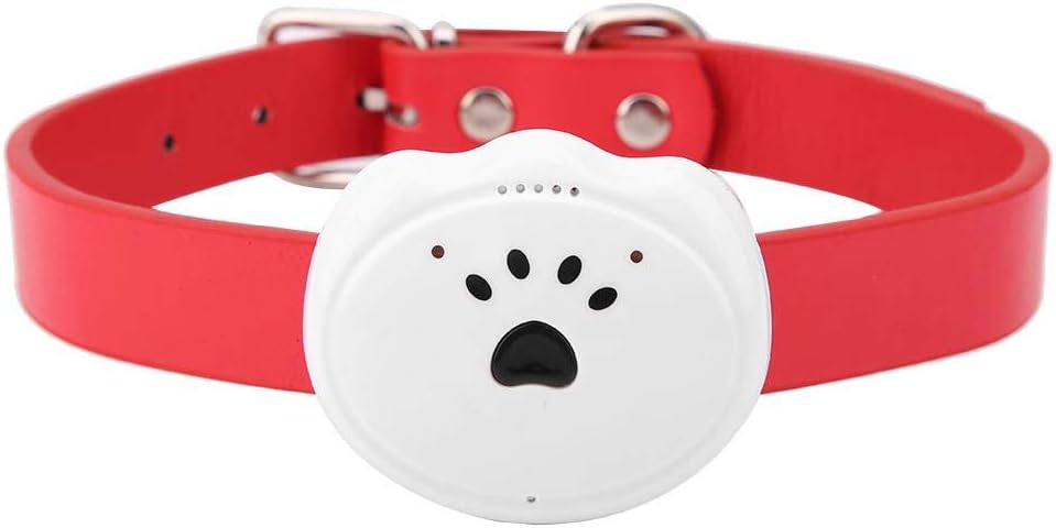 plants that are not toxic to dogs