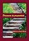 Livro Primavera Da Prosperidade