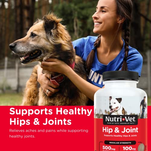 NutriVet Hip & Joint Chewable Dog Supplements Formulated with