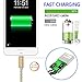 iPhone charger, ALEEGAO 6.5Ft Extra Long Nylon Braided Charging Cable Cord Lightning to USB Cable Charger Compatible with iPhone8 7/7 Plus/6s/6s Plus/6/6Plus/5s/5, iPad/iPod and more (3 Pack Gold)