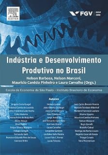 Livro Indústria e Desenvolvimento Produtivo no Brasil