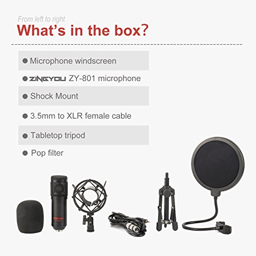 ZINGYOU ZY-801 Professional Studio Microphone, Desktop Computer Cardioid Condenser Mic with Tripod for PC Recording, Broadcasting (Black)