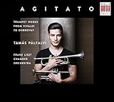 TAMAS PALFALVI - AGITATO                           image