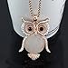 Latigerf Jewelry Women's Lucky Owl of Night Pendant Necklace and Long Chain Created-opal