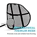 Lumbar Support for Office Chair & Car Back Support for Lower Back Pain Relief, Healthy Posture, and Improved Productivity - Includes Desk Chair Back Support and Car Lumbar Support for Driving