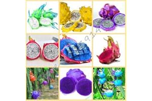 50pcs/ bag rare 9 kinds of pitaya seeds, very beautiful fruit seeds dragon fruit seeds mix
