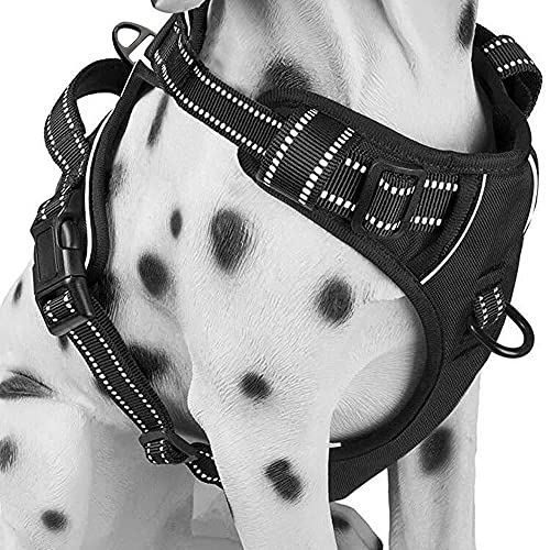 Bravpet Dog Harness,No-Pull Pet Harness with 2 Leash Clips, Adjustable Soft Padded Dog Vest,Breathable Dog Harness for Training Vest with Easy Control Handle (M, Black)