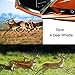 CarNeed 4 Pcs Deer Alert for Vehicles, Avoids Deer Collisions Car Deer Warning, Black Ultrasonic Wildlife Warning for Auto Motorcycle Truck SUV and ATV