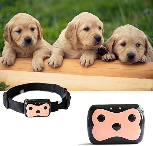 Pet Monitor for Dogs, Leelvis Pet Tracker GPS Collar Dogs Cats Waterproof with GSM(2G Network) Real Time Remote Monitoring Records