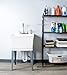 Utility Sink Laundry Tub with Stainless Steel High Rise Faucet by Maya with Side Sprayer, Large Basin, and Metal Legs, Great for Workroom, Shop, Garage, Basement, Mud Room (White Tub)