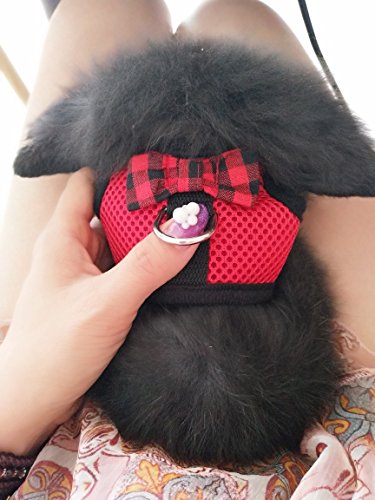 5 Harness+Stylish+Adjustable+Breathable+Walking