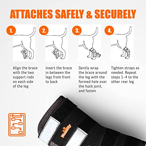 NeoAlly® Rear Leg Hock Brace, Dog Leg Brace for Rear Leg, Hock