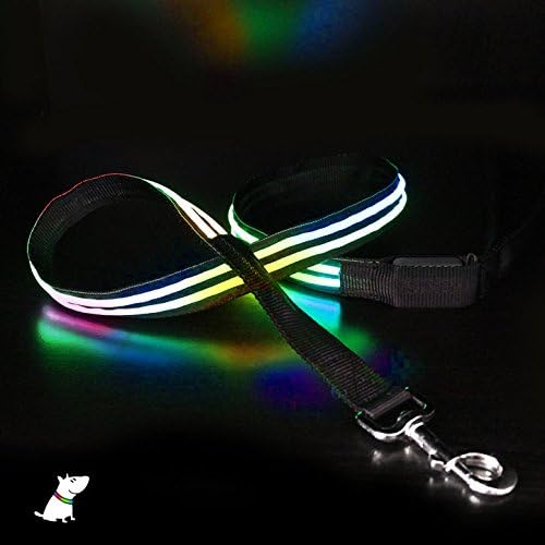 light up LED glowing Dog Leash, USB rechargeable (cable included) Make you &amp; your dog visible - 5 Colours (Blue, Red, Green, Lime and Pink) - See matching rechargeable Collars (4ft, Multi-colored)