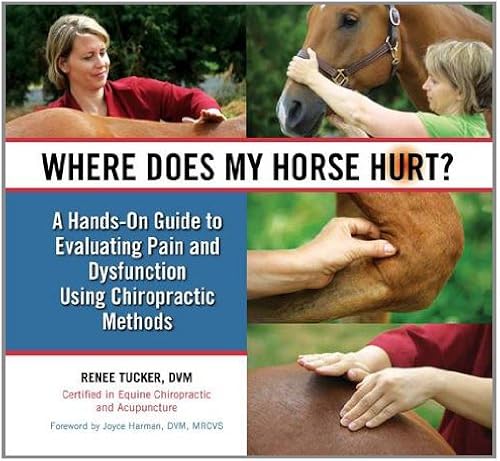 Download Where Does My Horse Hurt? PDF