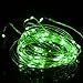 Homeleo 10M 100LED Battery Powered LED String Lights w/ Remote Mini Tiny LED Lamps on Flexible Thin Silver Wire Blinking Twinkle Steady On LED Starry Fairy Lighting(Remote,Green)