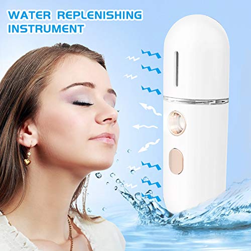 Axchongery Mini Portable Nano Steaming Facial Humidifier, Handy Spray Moisturizer Beauty Instrument, Small Portable Mist Sprayer for Face Moisturizing and Hydrating, No Noise, Travel (A)