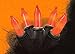 Northlight Mini Halloween or Christmas Lights with Black Wire, Orange, Set of 100