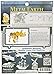 Metal Earth Fascinations Triceratops Skeleton 3D Metal Model Kit