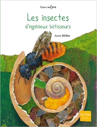 insectes-d-ingenieux-batisseurs