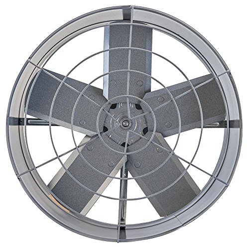 Exaustor Comercial Axial 40CM 443 220V Premium Ventisol