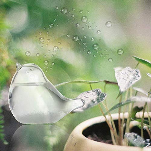 image for Sikye Clear Weather Forecaster Storm Glass Bird Shape Crystal Glass Cr